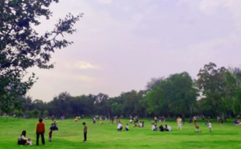 【必备】公园四年级作文300字集锦五篇