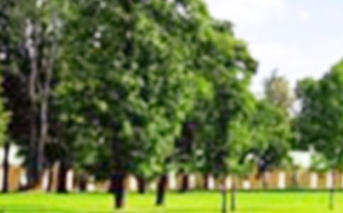 �й��ι�԰Сѧ���ĺϼ���ƪ