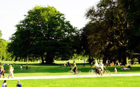 �ι�԰Сѧ���Ľ�����ƪ