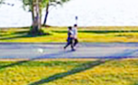 д����԰����10ƪ[��ѡ]