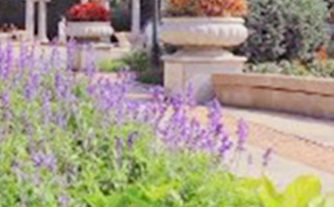 �й��ι�԰Сѧ���ĺϼ���ƪ