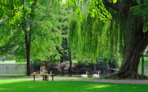 ���������ι�԰Сѧ������ƪ