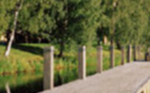 �ι�԰Сѧ����300��