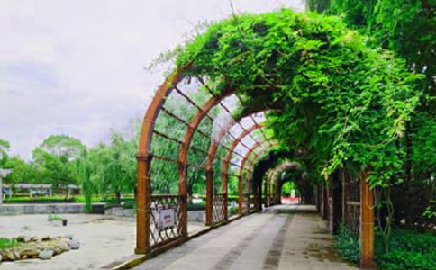 精选公园四年级作文300字锦集九篇