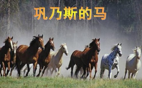 ������˹��������ѧ���(��������) �̰���ѧ���