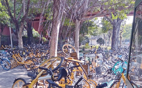 ������������ͬ�г����鷶��