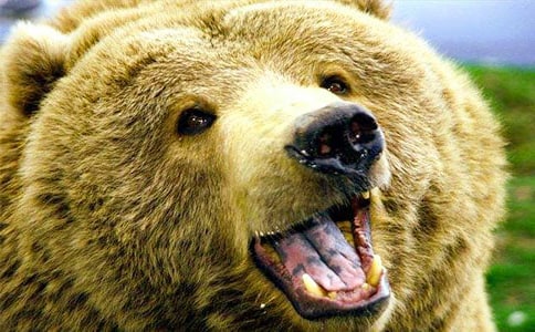 ���������ֻ�����̰ܽ�