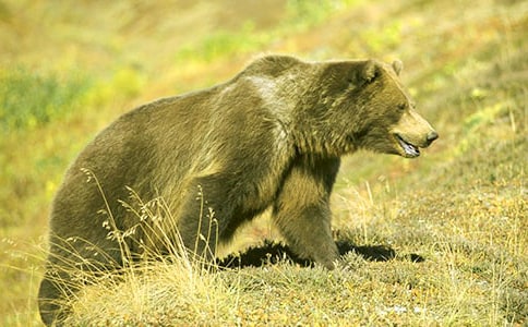 С����������̰����Դ���С�Ĺ��ܡ�