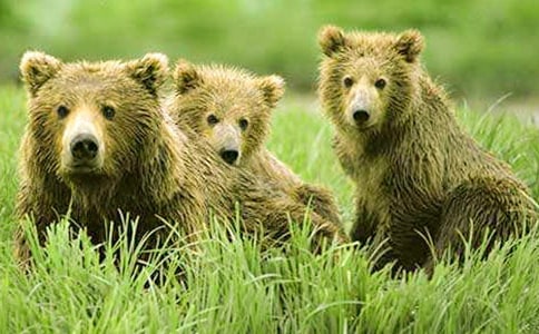 ����ֻ�����ܡ����Խ̰�