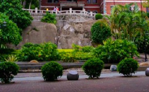 �������Ź����쵼�δ�