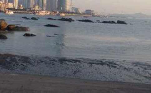 ���Ź����쵼�δ�