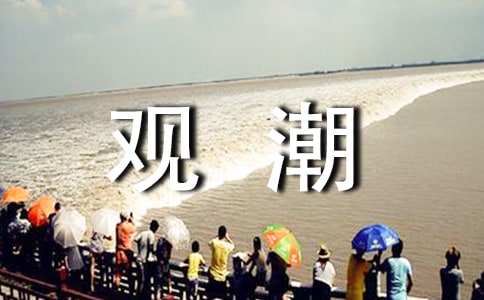 ����̰����۳���