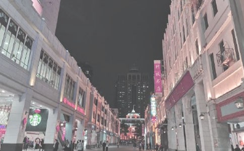 时代广场的蟋蟀读后感