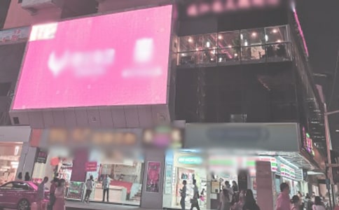 《时代广场的蟋蟀》读后感15篇(优选)