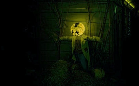 小学五年级作文:鬼屋印象