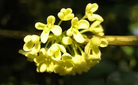 ��Сѧ����[�ر�8ƪ]