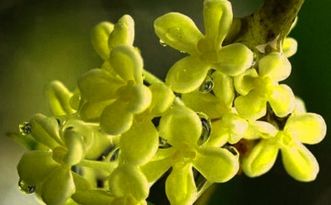 ��Сѧ����300�ֽ���7ƪ