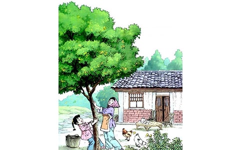 有关《桂花雨》教学反思范文(精选7篇)