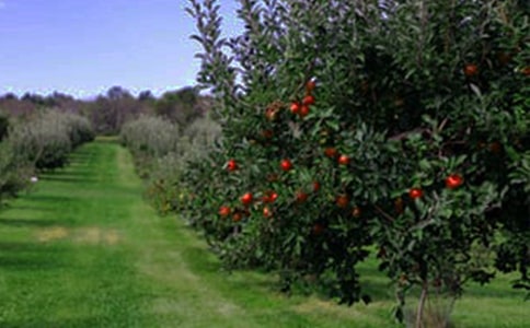 ��԰ת�ú�ͬ(��)