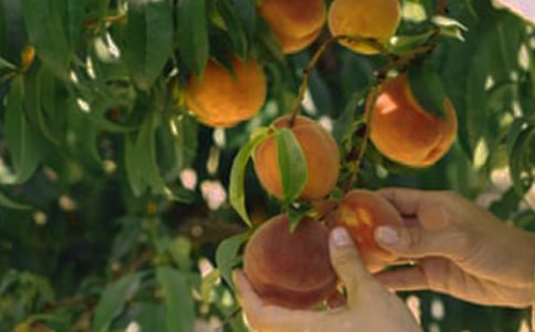 ��԰ת�ú�ͬ15ƪ[�ر�]