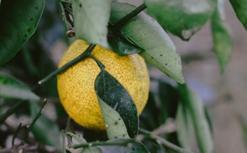 ��԰ת�ú�ͬ15ƪ[����]