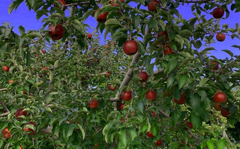 ��԰ת�ú�ͬͨ��15ƪ