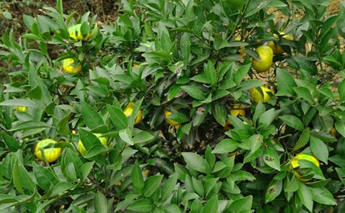 ��԰ת�ú�ͬ(�ϼ�)