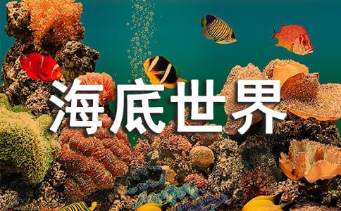 《海底世界》教学反思(通用)