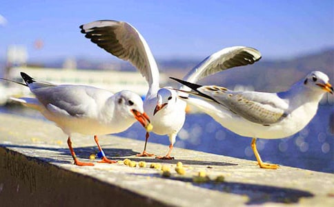 ��Ÿ���ռ�