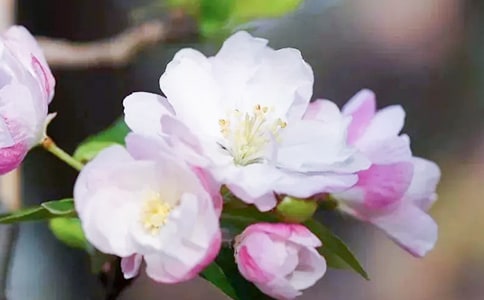 �����㺣�ġ��ۺ��12ƪ