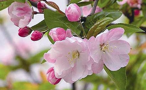 ���㺣�Ĺۺ��