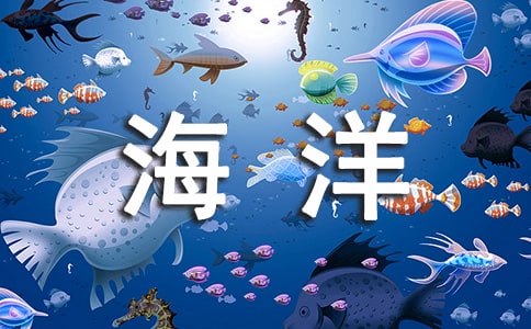 去上海海洋水族馆游玩的日记