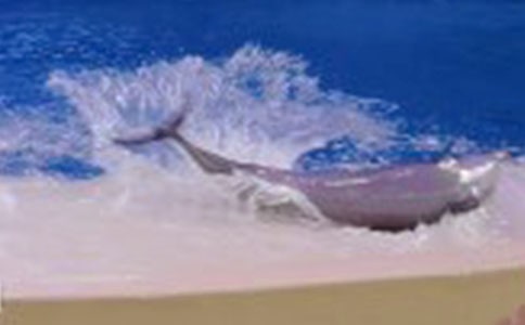 �а���ѧ�����Խ̰��������ĺ��ࡷ