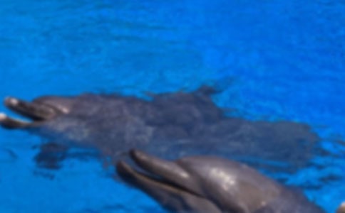 �˽̰�Ųᡶ������ˡ��̰����