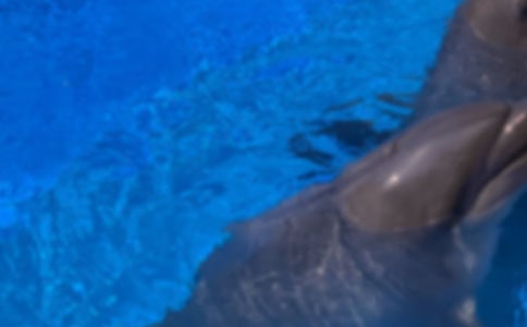 ��ɫ�ĺ��ൺ�����