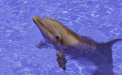 �������塷�ۺ��