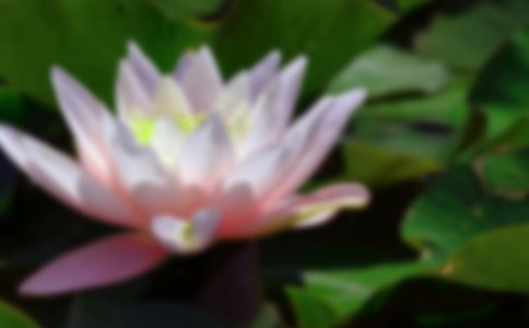 ���ɻ�����ѧ��˼���15ƪ