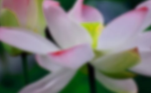 [��]�ɻ�Сѧ����