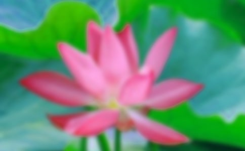 �ɻ���������