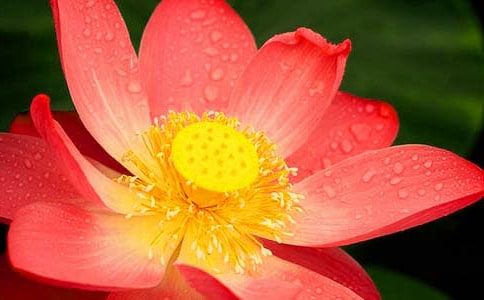 ���ɻ������̰� �̰���ѧ���