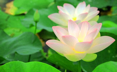 �ɻ�����ѧ��˼����