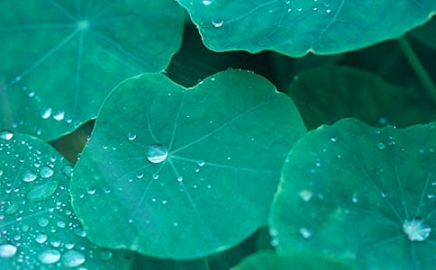 ����ҶԲԲ����ѧ��˼ͨ��(15ƪ)