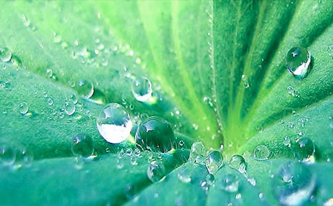 ��ҶԲԲ��ѧ��˼ͨ�ã�15ƪ��