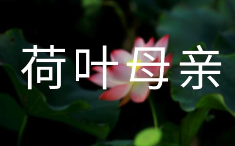 《荷叶母亲》教案(人教版七年级必修) 教案教学设计