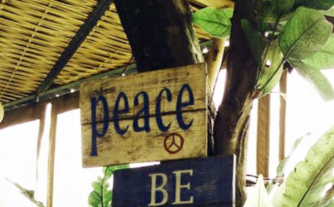 ���������ƽ�మ���̰� �̰���ѧ���