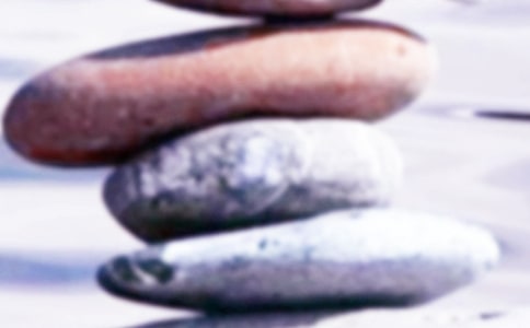 �����鲢ï--Ѻ�Ϻ�ƽ�ơ����βο�2(�˽̰�ѡ�ޱ�������)