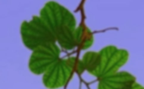 《和谐家园 》反思