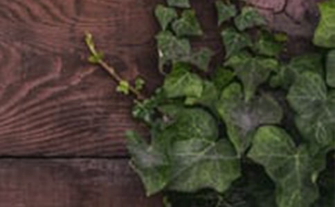 ʵʩ��г��ѧ����ѧ������