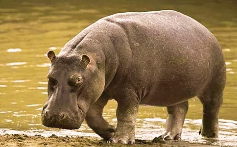 ���ֺ����Ĺ���(���̰����꼶����) �̰���ѧ���