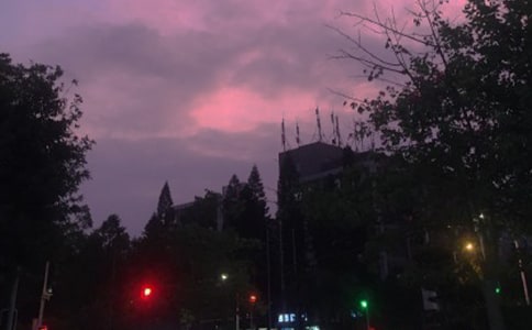 ��ҹ�Ҳ��´�ཡ���̰�